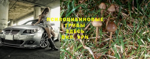 гидра Белокуриха