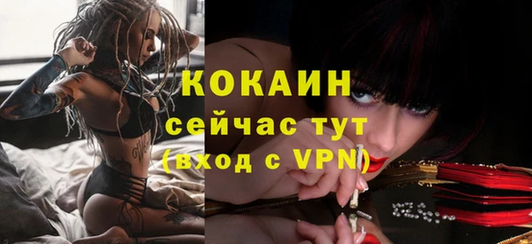молекула духа Белоозёрский