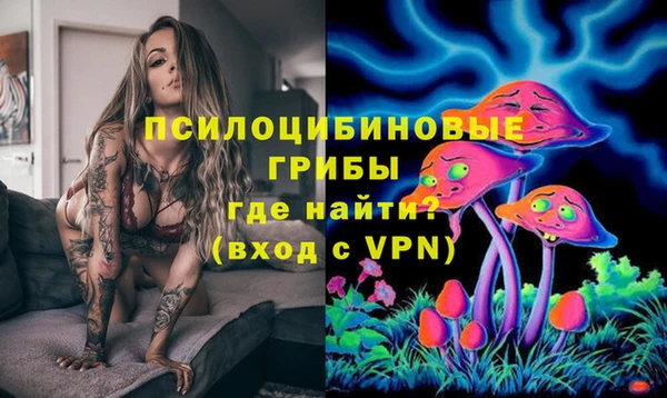 гидра Белокуриха