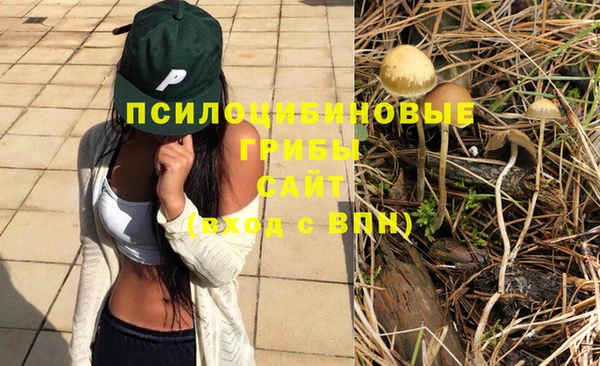молекула духа Белоозёрский