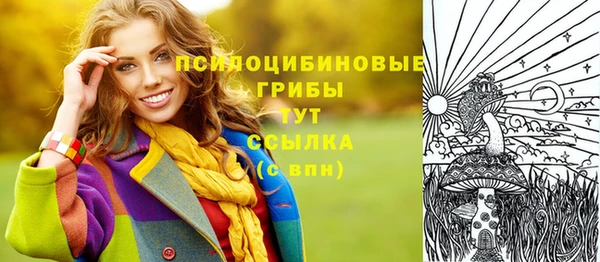 молекула духа Белоозёрский
