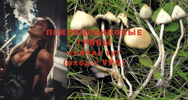 молекула духа Белоозёрский