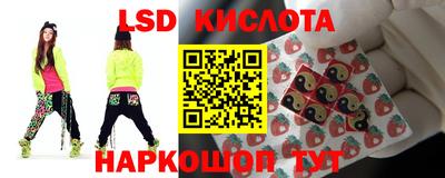 стафф Берёзовский