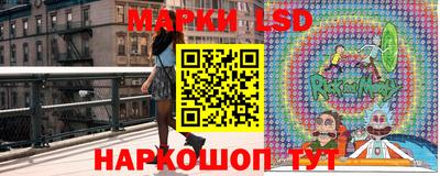 стафф Берёзовский
