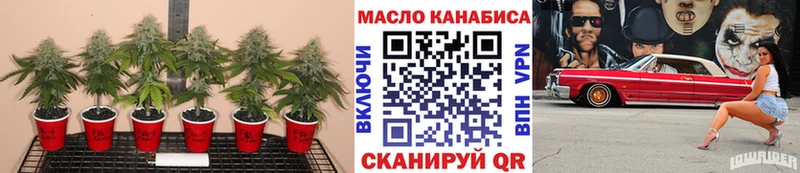 Дистиллят ТГК гашишное масло  Горно-Алтайск 
