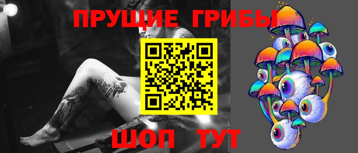 Галлюциногенные грибы Psilocybine cubensis  Вход с VPN  Галлюциногенные грибы Psilocybe  Горно-Алтайск 